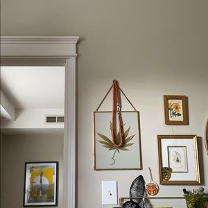 Meet your Posher, Erika